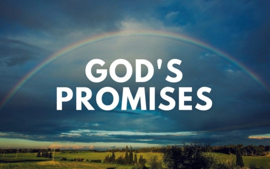 God's Promises For Men and Women